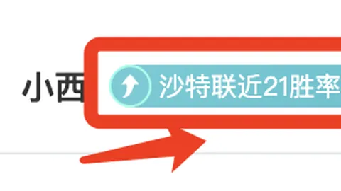 “武磊复制足迹：数据分析引领，海外挑战可期？舆论热议不断”